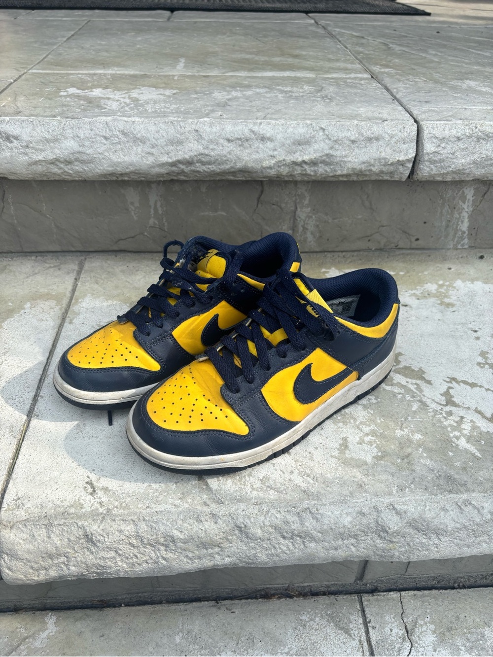 Nike Low-Top Sneakers in Navy and Yellow